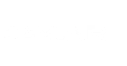 partners who work with IN9999Game